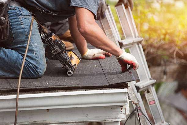 Roof Gutter Cleaning in New Berlin, IL